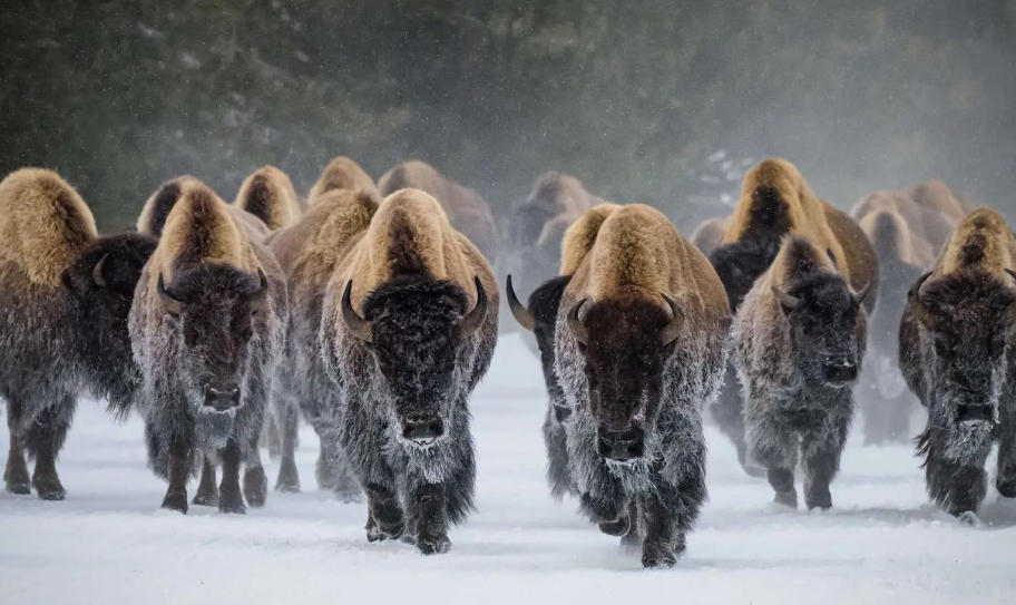 成都萬鼎会议服务有限公司轮播图1